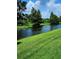 Idyllic pond surrounded by mature trees and green lawn, showcasing a peaceful natural environment at 813 Marsh Reed Dr, Winter Garden, FL 34787