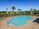 Community pool area surrounded by lounge chairs, palm trees, and manicured landscaping at 813 Marsh Reed Dr, Winter Garden, FL 34787