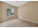 Open living room with carpeted floor, large window and neutral paint at 9650 Bay Pine Ln, Orlando, FL 32832