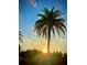 A palm tree as the sun rises at 1115 Deer Creek Blvd, Davenport, FL 33837