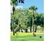 Sandhill Cranes graze in the verdant green grass of the community at 1115 Deer Creek Blvd, Davenport, FL 33837