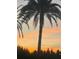 Silhouette of palm trees set against a gorgeous sunset creates a serene Florida scene at 1115 Deer Creek Blvd, Davenport, FL 33837