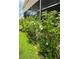 Lush yard with flowering plants and a screened porch at 1115 Deer Creek Blvd, Davenport, FL 33837