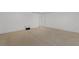 Spacious basement featuring neutral carpeting and ample room for customization at 11837 Cave Run Ave, Windermere, FL 34786