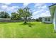 Green backyard with mature tree and large lawn providing plenty of room to roam and play at 323 Scotland Dr, Daytona Beach, FL 32117