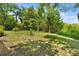 Spacious backyard with well-maintained lawn surrounded by lush trees and greenery at 516 Tybee Pl, Orlando, FL 32829