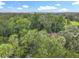 An aerial view showcasing the lush greenery and tree coverage in the property's surrounding area at 809 Sugar House Blvd, Port Orange, FL 32129