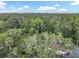 An aerial view showcasing the lush greenery and tree coverage in the property's surrounding area at 809 Sugar House Blvd, Port Orange, FL 32129
