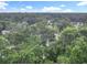 An aerial view showcasing the dense green canopy of mature trees and the city skyline in the distance at 809 Sugar House Blvd, Port Orange, FL 32129