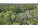 An aerial view showcasing the lush greenery and tree coverage in the property's surrounding area at 809 Sugar House Blvd, Port Orange, FL 32129