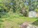 Overgrown backyard featuring a storage shed and chain link fence at 809 Sugar House Blvd, Port Orange, FL 32129
