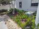 Professionally landscaped yard with river rock, a gray stone walkway, and lush tropical foliage around the home's perimeter at 8850 Pine Bay Ct, Orlando, FL 32825