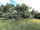 Landscaped backyard with verdant lawn, various trees, and manicured shrubbery, offering a tranquil outdoor setting at 1025 Sullivan St, Deltona, FL 32725