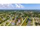 A neighborhood aerial view showcases lush greenery and well-spaced homes at 2356 Date Palm Dr, Edgewater, FL 32141