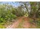 A tranquil driveway surrounded by lush greenery and mature trees at 538 Murray St, Osteen, FL 32764