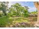 Backyard featuring green grass and an overgrown area with large trees at 5527 Sandalwood Dr, Orlando, FL 32839