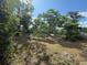 Large backyard with mature trees, greenery, and a natural landscape at 5527 Sandalwood Dr, Orlando, FL 32839