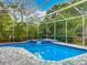 This screened in pool boasts a spa and is surrounded by lush greenery for added privacy at 704 Forest View Ct, Winter Springs, FL 32708