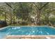 Spacious screened-in pool surrounded by mature trees and landscaping at 9031 Stonebury Way, Orlando, FL 32832