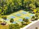 Overhead view of pickleball courts surrounded by tall palm trees and lush landscaping at 9997 Town Lake Dr, Orlando, FL 32832