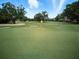 Well-manicured golf course featuring a green and a flagstick on a sunny day at 1769 Turnberry Ter, Orlando, FL 32804