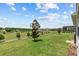 Green backyard featuring lawn and landscaping of this beautiful home at 3179 Sailing Pier Ave, Winter Garden, FL 34787