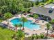 Aerial view of a community pool surrounded by palm trees, lounge chairs, and lush landscaping at 3179 Sailing Pier Ave, Winter Garden, FL 34787