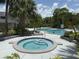Community pool and hot tub surrounded by lush landscaping and swaying palm trees at 3713 S Lake Orlando Pkwy # 6, Orlando, FL 32808