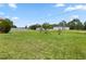 Large backyard with lush green grass and young trees at 1457 Teal Dr, Kissimmee, FL 34759