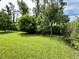 Expansive back yard features lush green grass, mature trees, and privacy hedges at 1573 Amber Leaf Cir, Ocoee, FL 34761