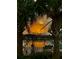 Sunset over the lake framed by palm trees and a community fence at 1573 Amber Leaf Cir, Ocoee, FL 34761