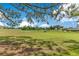 Beautiful golf course view with lush green grass and mature trees on a sunny day at 20610 Maxim Pkwy, Orlando, FL 32833