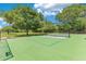 Enjoy the tennis court with net surrounded by a green grassy area and shady trees at 20610 Maxim Pkwy, Orlando, FL 32833