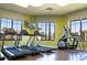 Fitness center featuring treadmills, an elliptical, and scenic views at 2460 Reading Trl, Kissimmee, FL 34746