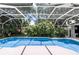 Sparkling screened-in pool surrounded by tropical plants, offering a relaxing retreat at 2890 Wild Ginger Ct, Winter Park, FL 32792