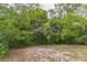 A fenced backyard surrounded by lush greenery, offering privacy and space for outdoor enjoyment at 1421 Summit Hill Dr, Deltona, FL 32725