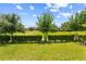 Lush backyard featuring a neatly trimmed hedge, a well-maintained lawn and mature trees creating a serene setting at 337 Meadow Pointe Dr, Haines City, FL 33844