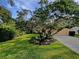 A front yard with a large tree in front of the home at 109 Greentree Ln, Yalaha, FL 34797