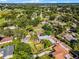 Scenic aerial view of a home in a lush, tree-filled neighborhood at 1250 Tangerine Ct, Eustis, FL 32726