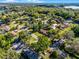 Scenic aerial of a tree-lined neighborhood featuring well-maintained homes, winding streets, and plenty of natural greenery at 1250 Tangerine Ct, Eustis, FL 32726