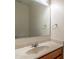Bathroom featuring a vanity with a mirror and a single sink at 1356 Scarlet Oak Loop, Winter Garden, FL 34787