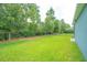 Lush backyard with privacy fence and mature trees, offering a serene outdoor space at 1529 Chelsea Manor Cir, Deland, FL 32724