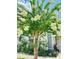 Charming home exterior adorned with a flowering tree and lush landscaping at 660 Neile Ct, Oviedo, FL 32765