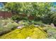 Picturesque koi pond featuring a waterfall and vibrant aquatic plants at 800 Hamilton Place Ct, Winter Park, FL 32789