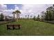Community dog park with benches, tall palms, and lush green grass inside a black fence at 12821 Harvest Rain Ave, Winter Garden, FL 34787