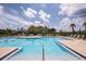 Community pool with walk-in entrance, palm trees, lounge chairs, and umbrellas for a relaxing day at 12821 Harvest Rain Ave, Winter Garden, FL 34787