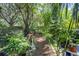 Lush backyard featuring mature trees, green foliage, winding mulch path, and landscaping at 13010 Plum Lake Cir, Minneola, FL 34715