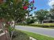 Street view of Piedmont Park entrance with blooming crepe myrtle and lush green landscaping at 2061 Piedmont Park Blvd, Apopka, FL 32703
