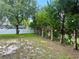 Backyard featuring mature trees, multiple fence lines and a bird bath at 734 La Costa St, Minneola, FL 34715