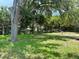 Large backyard features mature trees and a grassy lawn, providing a serene and private outdoor space at 734 La Costa St, Minneola, FL 34715